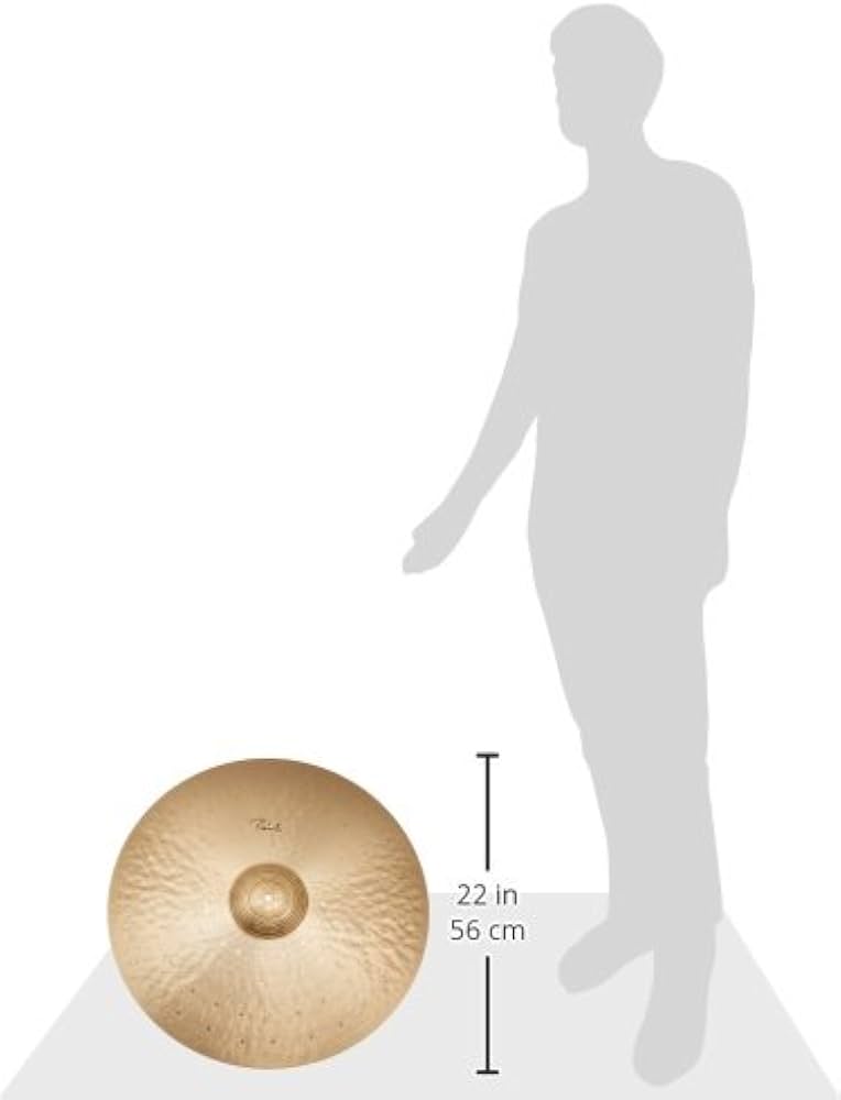 Amazon.com: Paiste 22